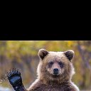 ���� �����, �������-�����, 36 ��� - ��������� 8 ������� 2019