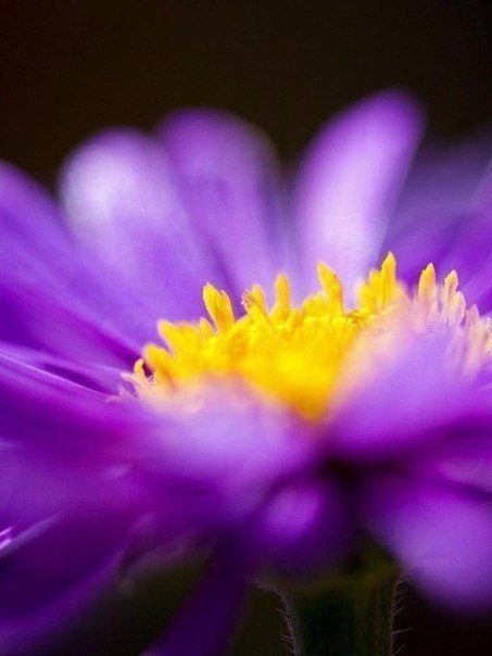  ))).-   ,   .    ... - 3