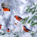���� Natali, ��������� - ��������� 15 ������� 2019 � ������ ���� ����������