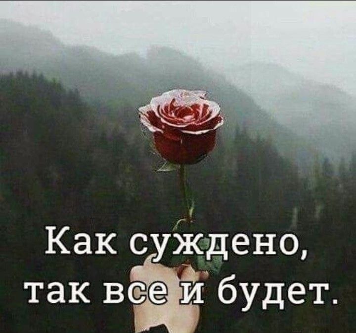 Чужой судьбы не выпросишь у Бога, Хоть как молись-нести тебе свой крест. И как бы ни была она убога- ...