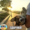 ���� H, ������������, 57 ��� - ��������� 4 ������� 2019 � ������ ���� ����������