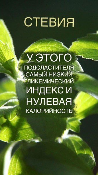 5 полезных альтернатив сахару: Стевия У этого подсластителя самый низкий гликемический индекс и ... - 2