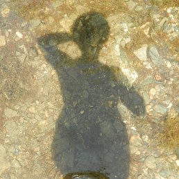 ���� �������, ����������, 64 ���� - ��������� 21 �������� 2019