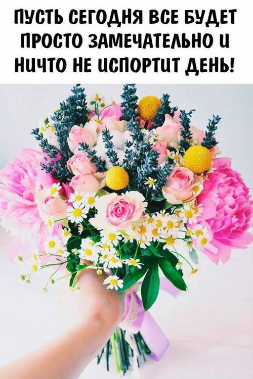   ,    . - 20  2019  08:51 - 2
