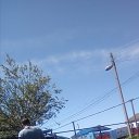 ���� �����, ������������, 43 ���� - ��������� 3 ������ 2019 � ������ ���� ����������