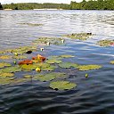 ���� ������, ������� - ��������� 13 ������� 2019