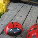 ���� ����, ���������� - ��������� 18 ��� 2019 � ������ ���� ����������