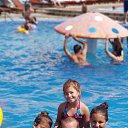  Rust, , 65  -  31  2019    