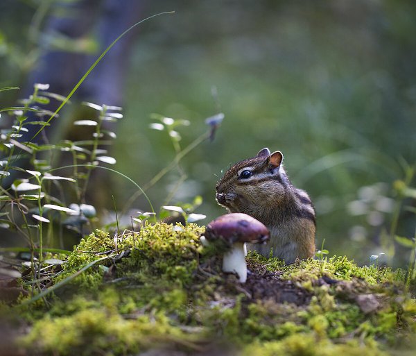 �������� �������! - 11 �������� 2019 � 07:55 - 2