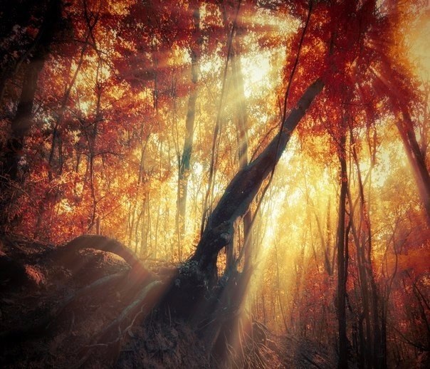  ).     -   .   -  ... - 5