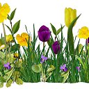 ���� �����, ������, 33 ���� - ��������� 9 ��� 2019 � ������ ������ ��������