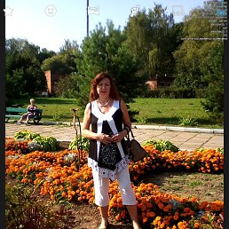 �����, ������, 67 ���