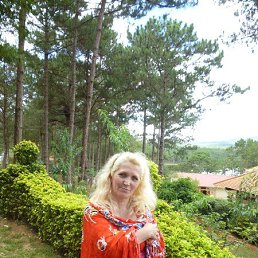 �������, ���������, 65 ���