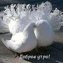 ���� ���, ��������, 56 ��� - ��������� 15 ������� 2019