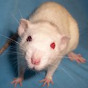 ���� ������, ����, 56 ��� - ��������� 25 ��� 2019 � ������ ���� ����������