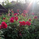 ���� �������, ������ - ��������� 20 ������� 2019 � ������ �����