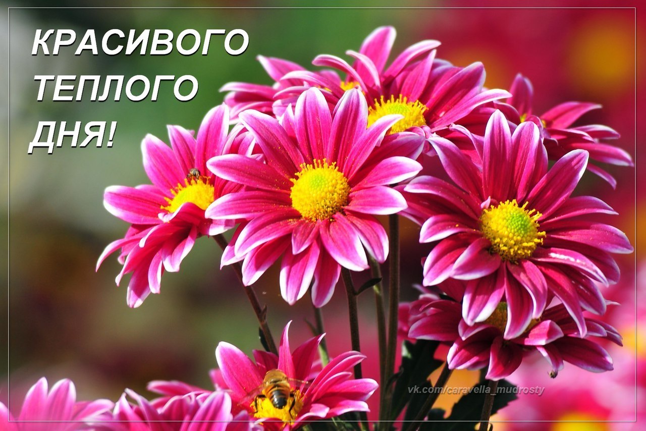   ,    . - 15  2019  13:49