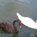 ���� Hellen, �����, 31 ��� - ��������� 11 ���� 2019 � ������ ���� ����������