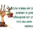 ���� ������, ������, 47 ��� - ��������� 8 �������� 2019 � ������ ������ ��������