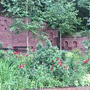  , , 50  -  23  2019      --