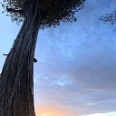 ���� ���������, ������, 41 ��� - ��������� 20 ������� 2019