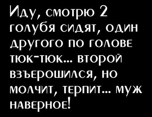 ☆ ☆ - 24  2019  03:53