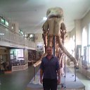 ���� ���������, ����������, 41 ��� - ��������� 25 ������� 2019