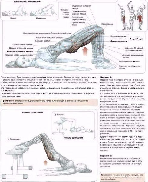 Лучшие упражнения для ягодиц, икр и бедер! #тренировка@ican