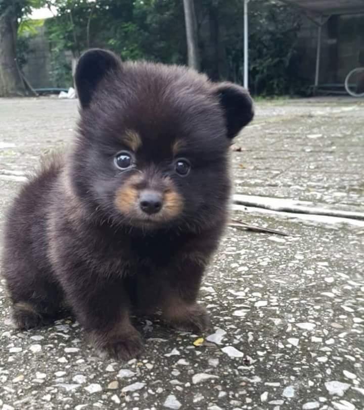    ?