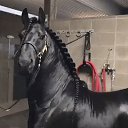 ���� ������, ����, 51 ��� - ��������� 19 ��� 2019 � ������ ���� ����������