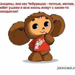 ����������, ����, 41 ���