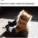 ���� ����, ����-�����������, 47 ��� - ��������� 28 ��� 2019 � ������ ���� ����������