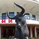 ���� ����, �������, 52 ���� - ��������� 10 ������ 2019 � ������ ���� ����������