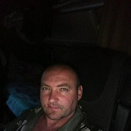 ���� ������, ��������, 46 ��� - ��������� 2 ��� 2019