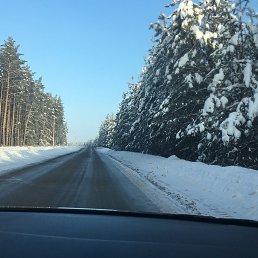 �����, �������, 40 ���