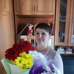 �������, �������, 41 ���