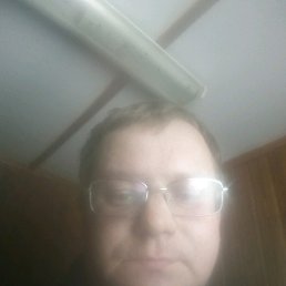 �����, ��������, 41 ���