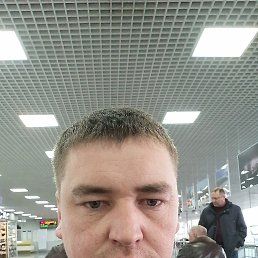 �������, ����-���, 40 ���