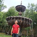 ���� ���������, ����, 39 ��� - ��������� 6 ���� 2019 � ������ ���� ����������