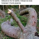 ���� Tadeusz, �����, 63 ���� - ��������� 12 ������� 2019 � ������ ���� ����������