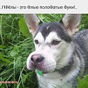 ���� �����, �������, 49 ��� - ��������� 29 ��� 2019 � ������ ������ ��������