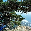 ���� �����, ��������, 49 ��� - ��������� 9 ������� 2019 � ������ ���� ����������