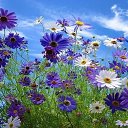 ���� ������, ������ - ��������� 22 ��� 2019 � ������ ������ ��������