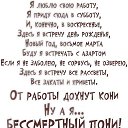 ���� ������, ����������� - ��������� 11 ������ 2019 � ������ ������ ��������