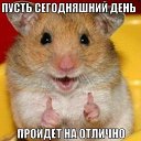 ���� �����, �����, 41 ��� - ��������� 12 ������ 2019 � ������ ������ ��������