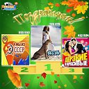 ���� �����, ������-��������, 43 ���� - ��������� 6 ������� 2019 � ������ ���� ����������