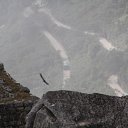 ���� �����, ���� �� ������� ���� ����������