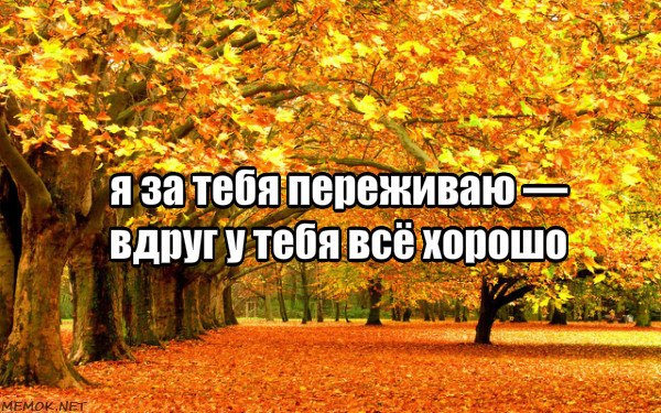   - 23  2019  07:38
