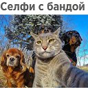 ���� ���� � �����..., ������ - ��������� 31 ������� 2019