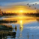 ���� Liudmila, �������, 70 ��� - ��������� 29 ����� 2019 � ������ ������ ��������